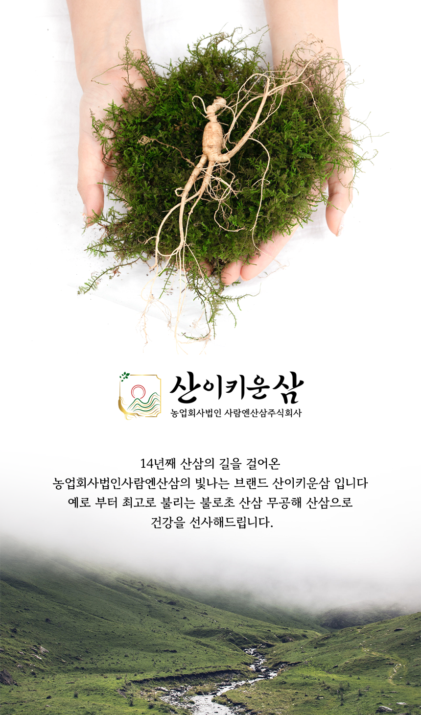 산이키운삼 소개